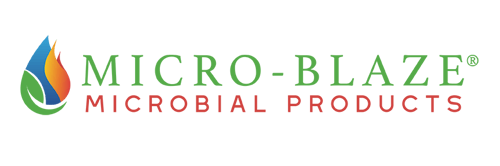 Micro-Blaze - Logo - Full Color - Web Use-1