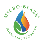 Micro-Blaze - Logotype - Full Color - Web Use-1